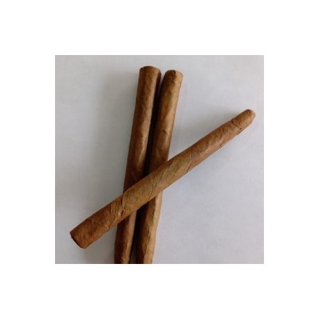 Balas cortas paquete con 30 piezas